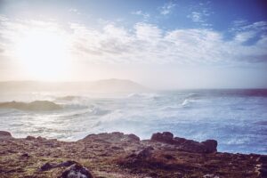 ナイトブラの口コミ件数が多いか少ないかを判断するポイントは？