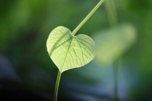 ナイトブラの肌に優しいランキングでおすすめは？