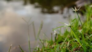 ナイトブラをインフルエンサーがPRする際の見極め方法は？