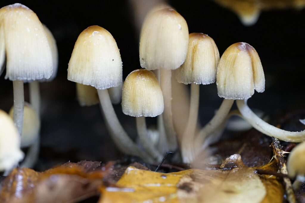 ナイトブラ育乳中のタグによるチクチク感の対処法は？