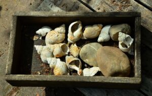 ナイトブラで育乳する脇肉の寄せ集め方は？