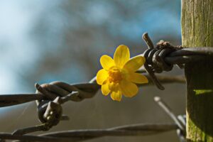 ナイトブラのワイヤーありなしで育乳効果にどんな違いがあるの？