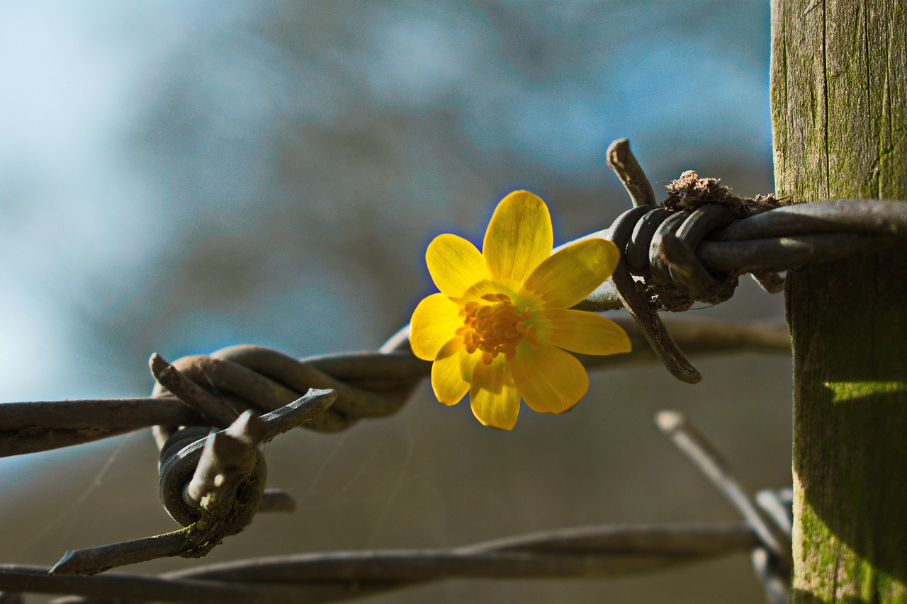 ナイトブラのワイヤーありなしで育乳効果にどんな違いがあるの？